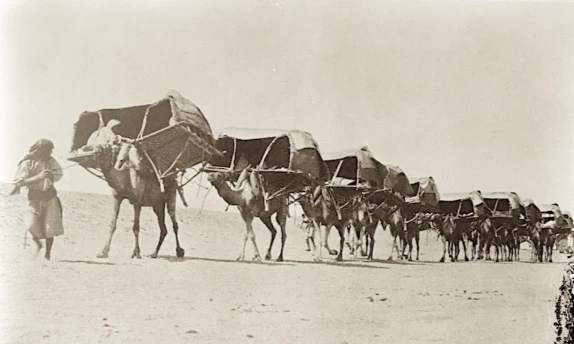 pilgrims travelling to makkah for hajj
