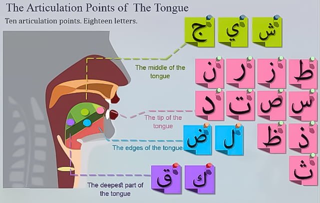 articulation points of norani qaida